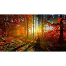 Tablou Canvas - Peisaj...