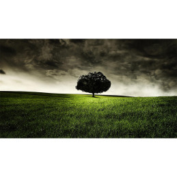 Tablou Canvas - Peisaj Camp...