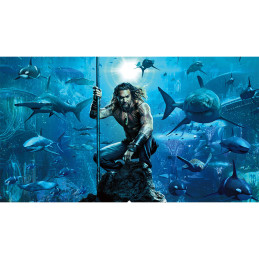 Tablou Canvas - Camera...