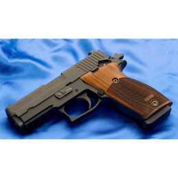 Tablou Canvas - War P220 9mm